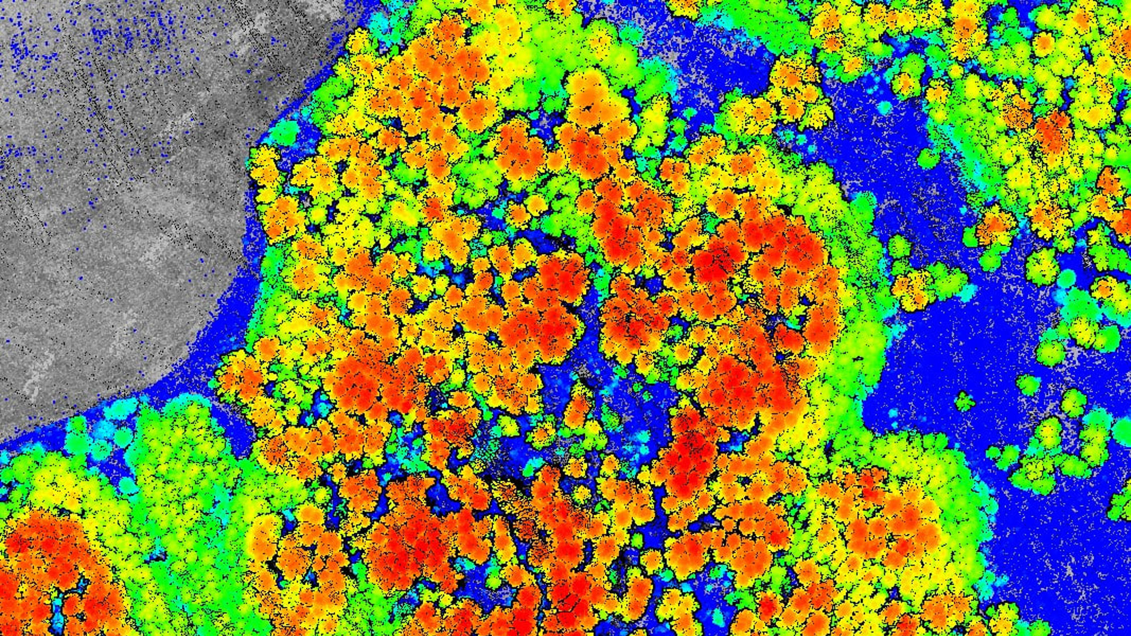 Canopy height model, crowns coloured by height over bare-earth grey
